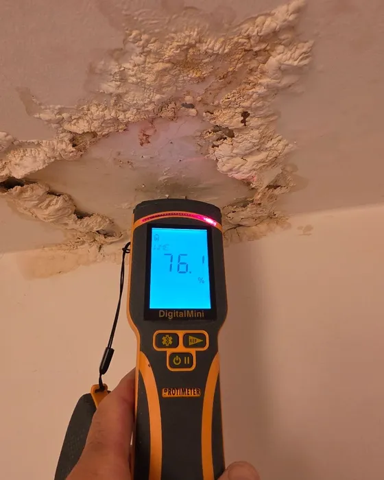 Humidimètre Protimeter indiquant 76 % d'humidité sur un plafond dégradé par une infiltration, mesure réalisée par GBL Détection.