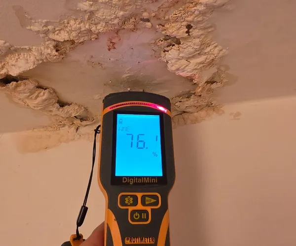 Humidimètre Protimeter DigitalMini affichant 76,1 % sur plafond décollé — mesure d'humidité