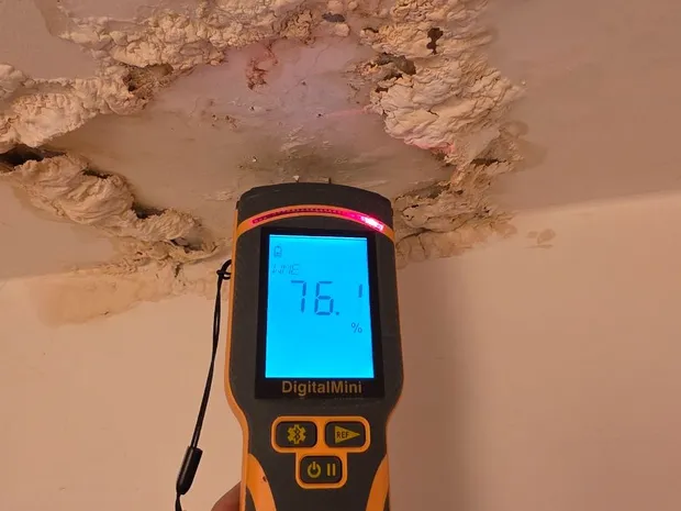 Humidimètre Protimeter indiquant 76 % d'humidité sur un plafond dégradé par une infiltration, mesure réalisée par GBL Détection.